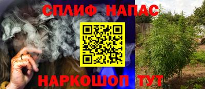 сатива Можайск