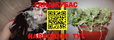 сатива Можайск