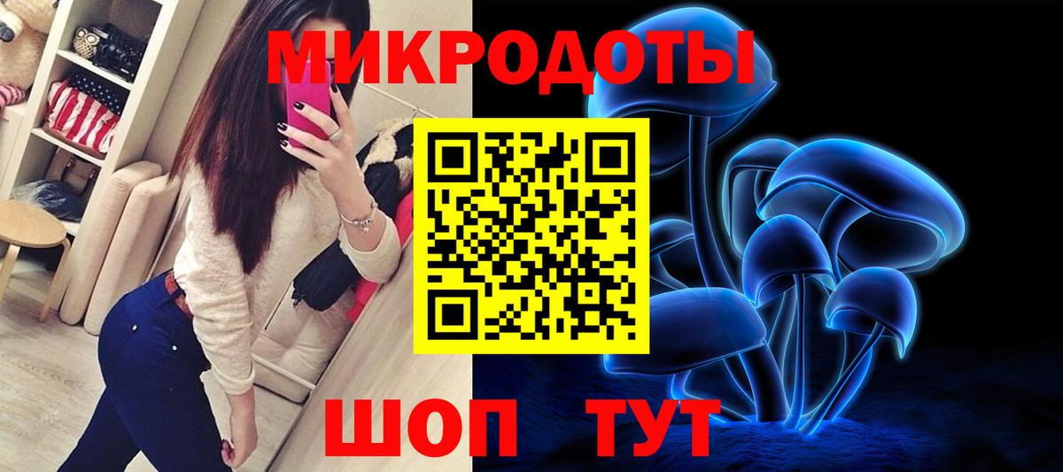 Галлюциногенные грибы Psilocybine cubensis Алушта